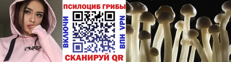 Псилоцибиновые грибы мицелий  гидра ONION  Рыльск 